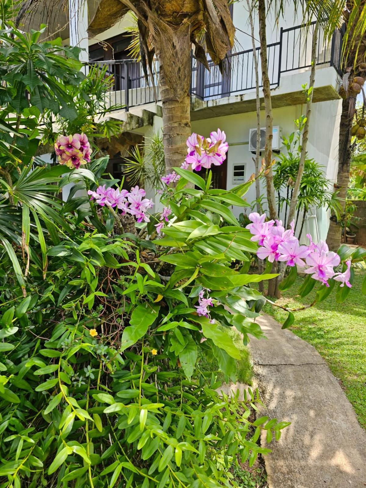 Optimum Residencies Acomodação com café da manhã Negombo Exterior foto