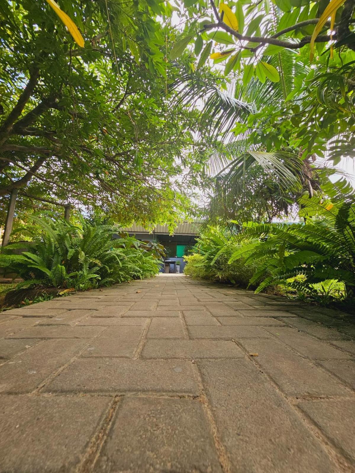Optimum Residencies Acomodação com café da manhã Negombo Exterior foto